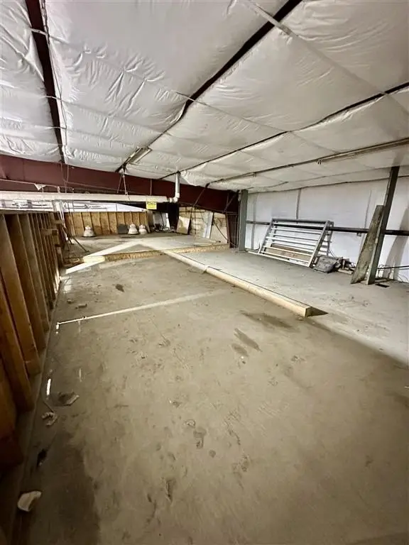Picture 15