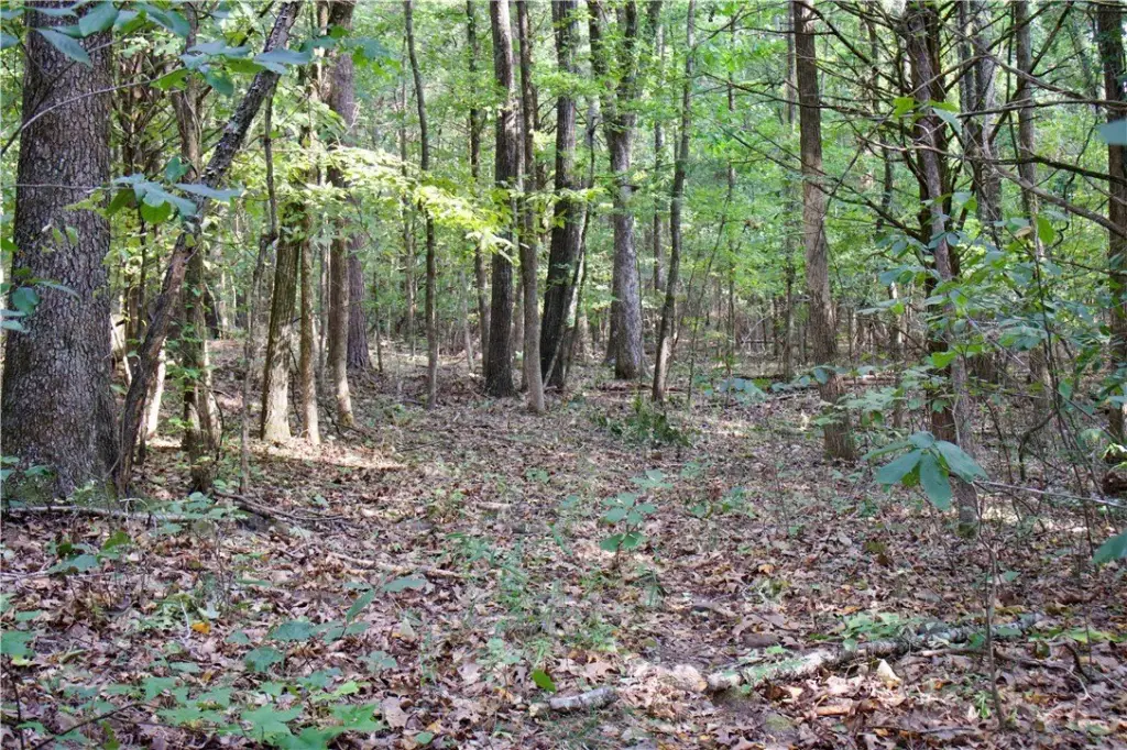 Picture 18