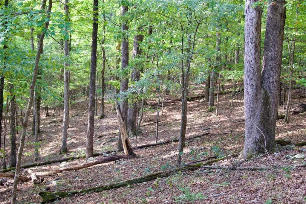 Picture 25