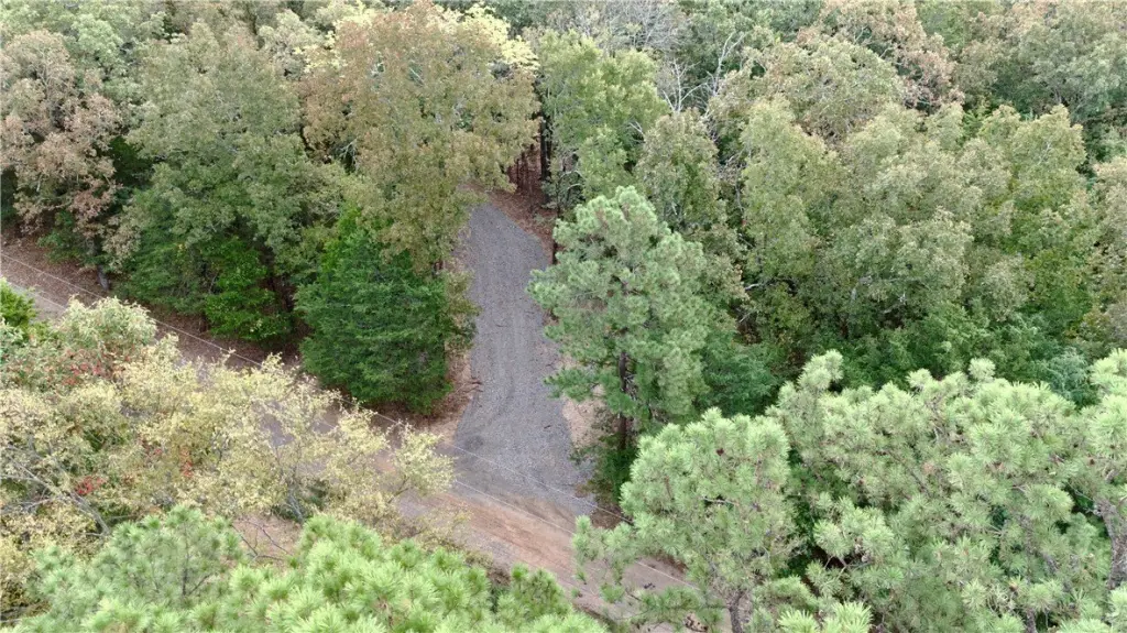 Picture 11
