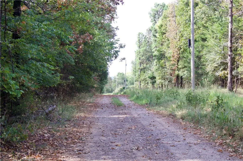Picture 34