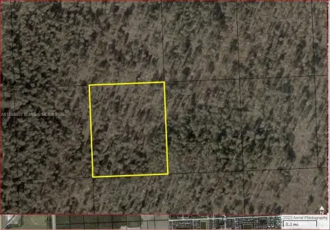 Miami Everglades 1-Acre Parcel
