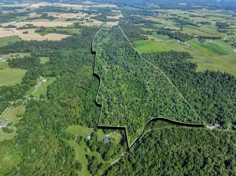 80 Acres Hunting Land, Bowling Green