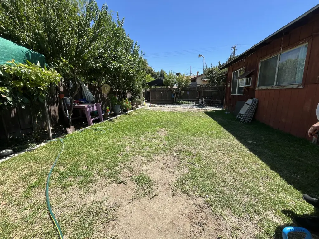 Picture 6