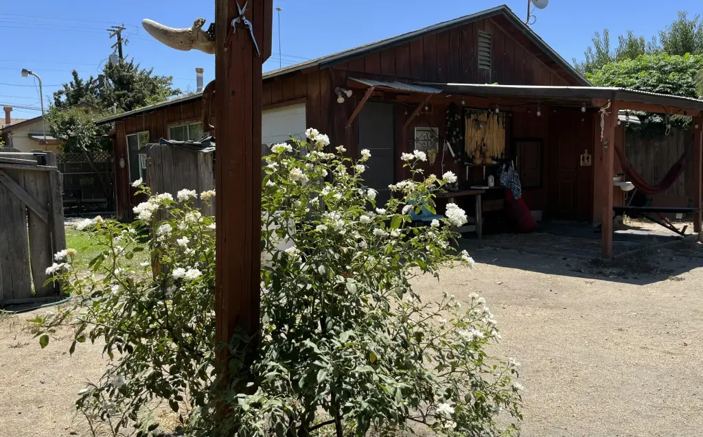 Picture 5