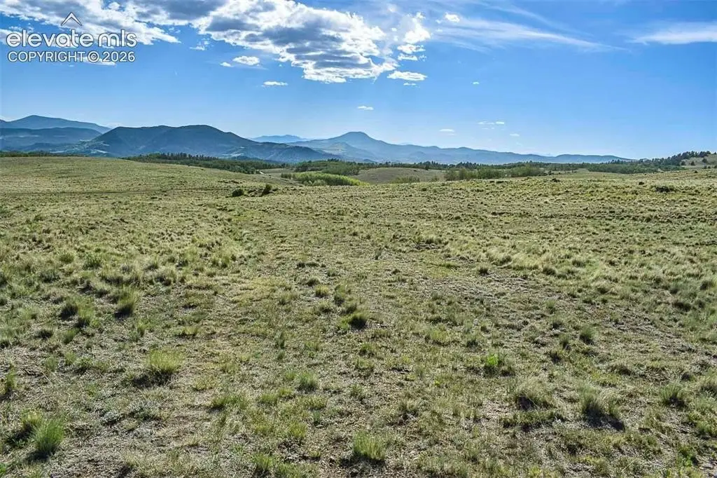 Picture 47