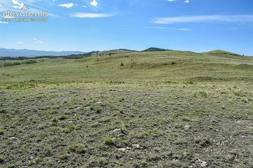Picture 24