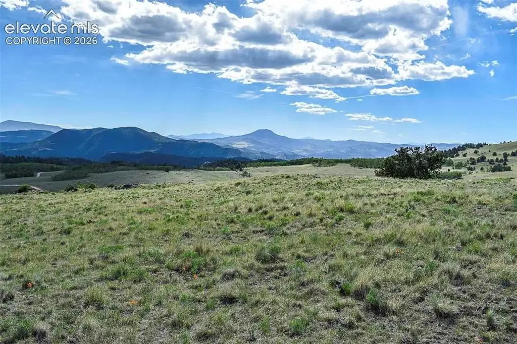 Picture 35