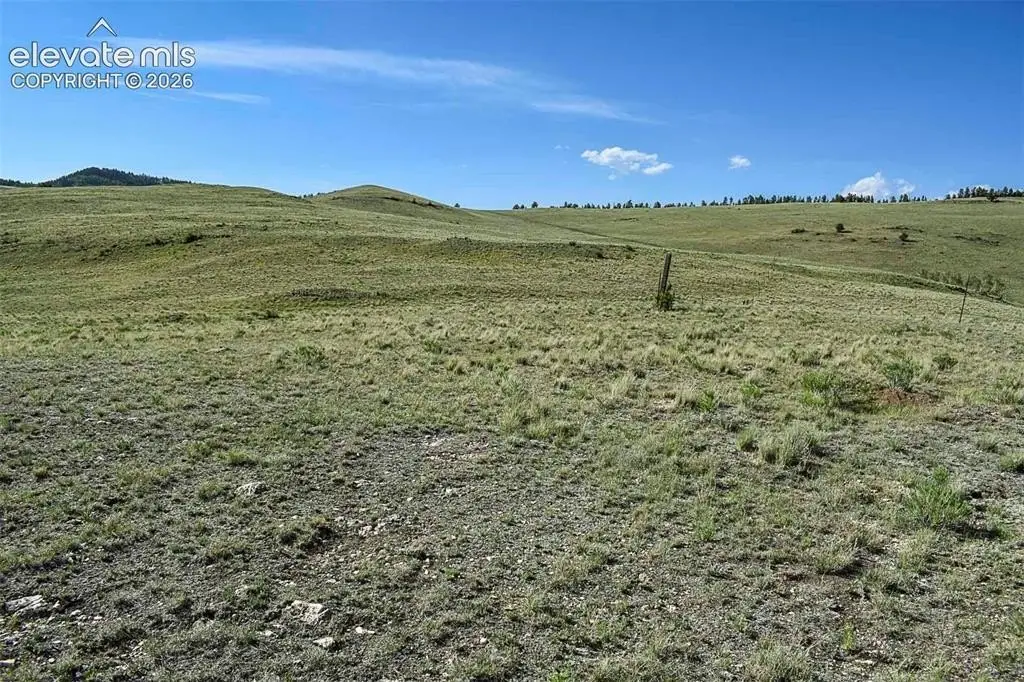 Picture 25