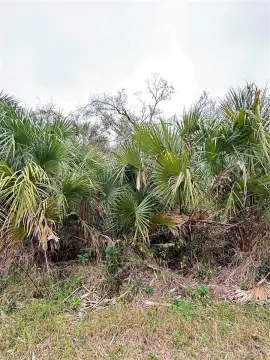 Residential Land in North Port