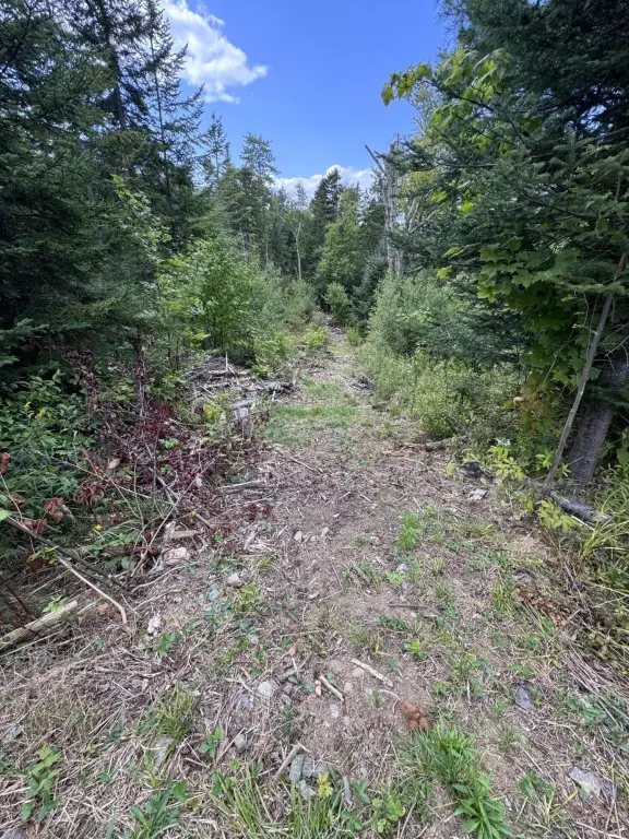 Picture 18
