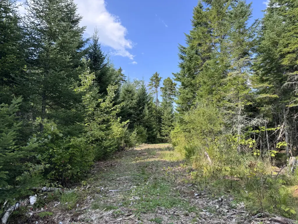 Picture 8