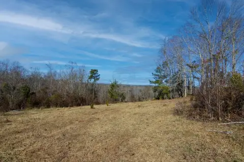 Shiloh, GA Land Opportunity