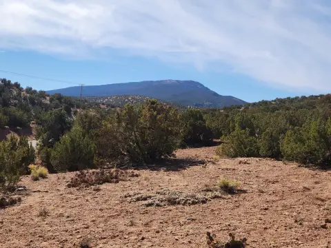 25 Acres in Placitas, NM
