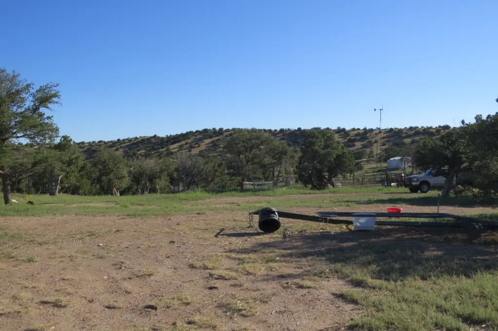 Picture 30