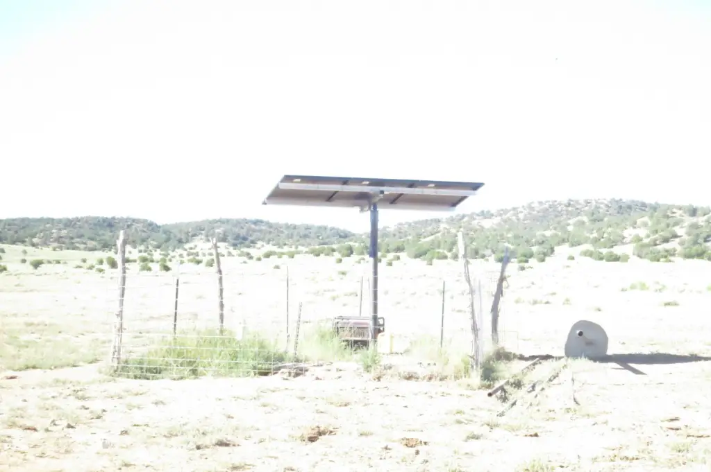 Picture 44