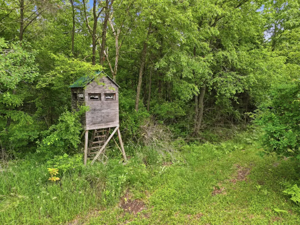 Picture 27