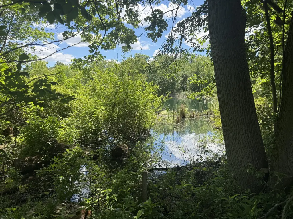 Picture 24
