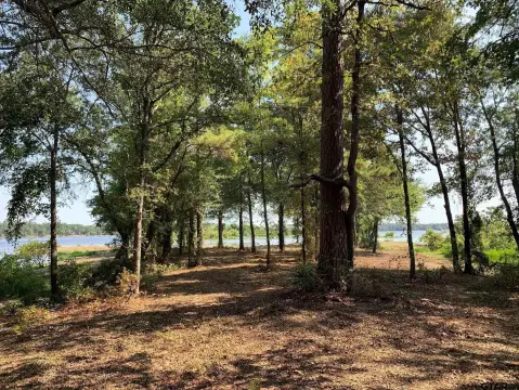 Secluded Lake Palestine Homesite