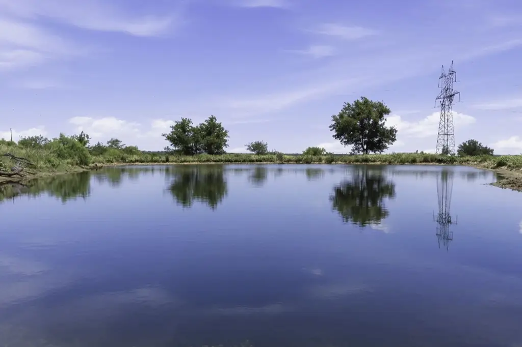Picture 40
