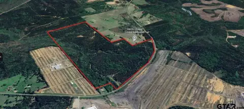 Picturesque 200-Acre Hunting and Timberland