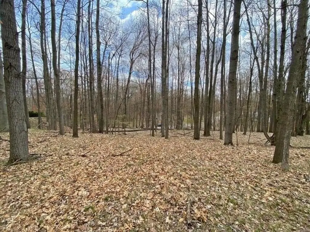 Picture 7