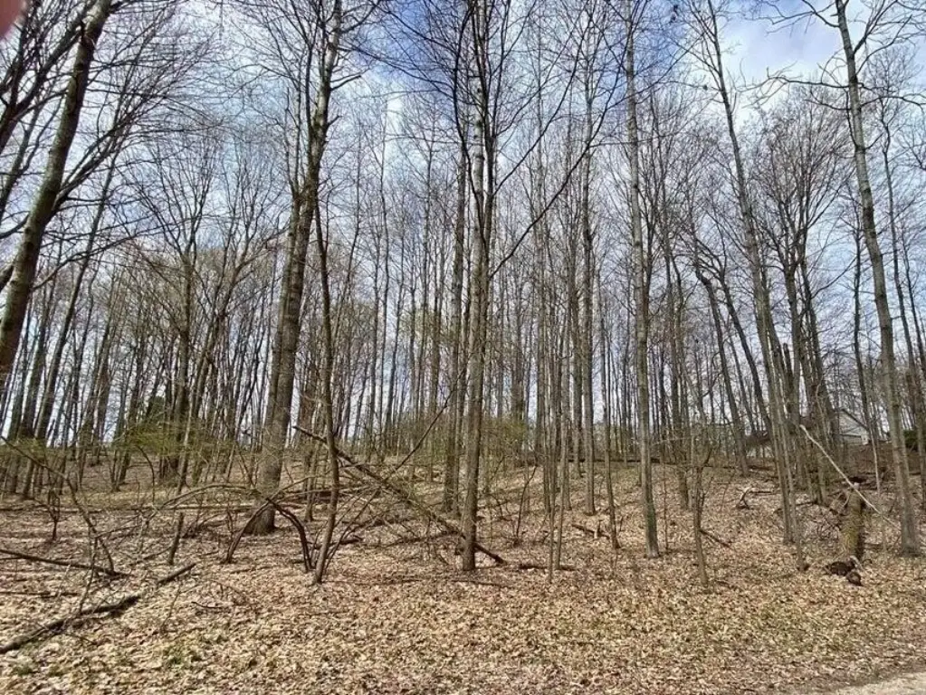 Picture 4