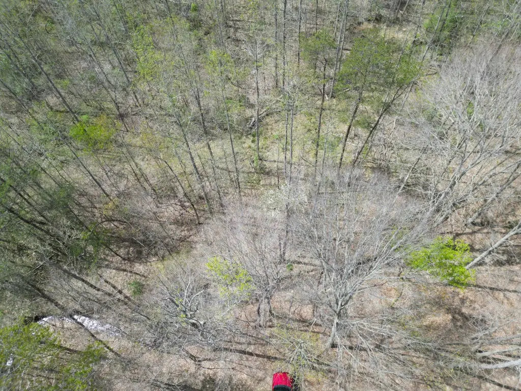 Picture 2