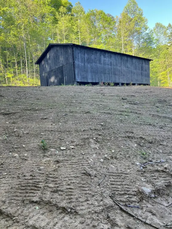 Picture 3