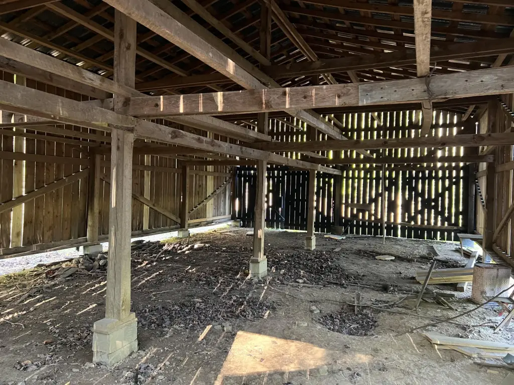 Picture 20