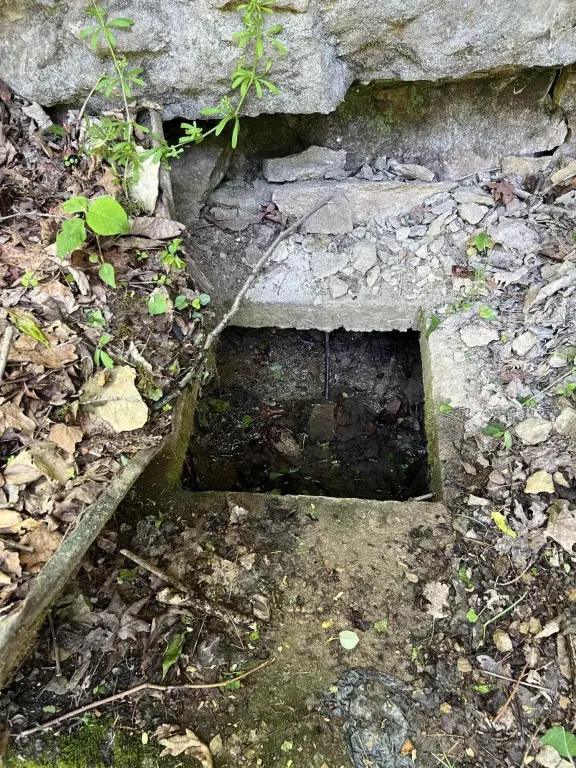 Picture 19