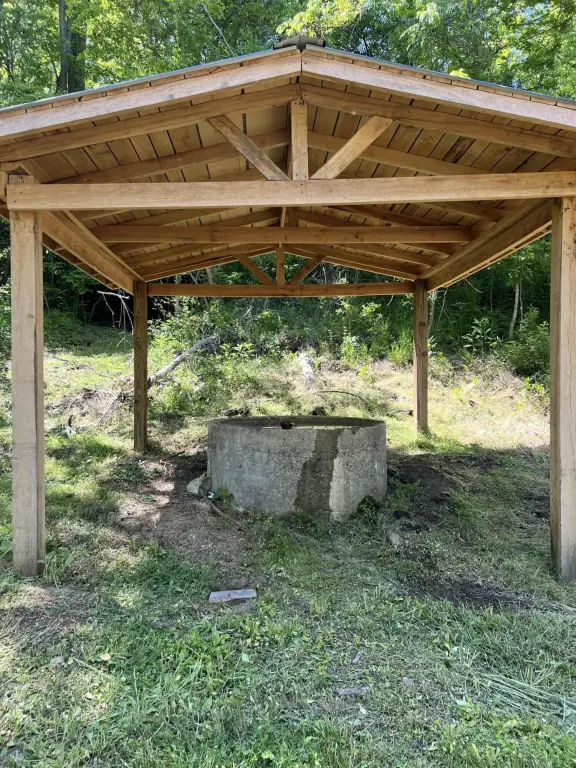 Picture 15