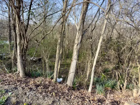 Residential Lot in Wayne County