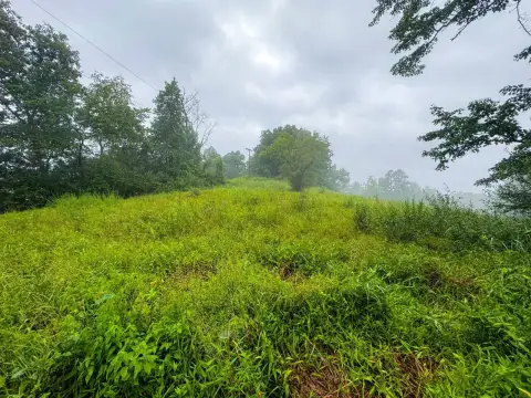 Wooded Recreational Land