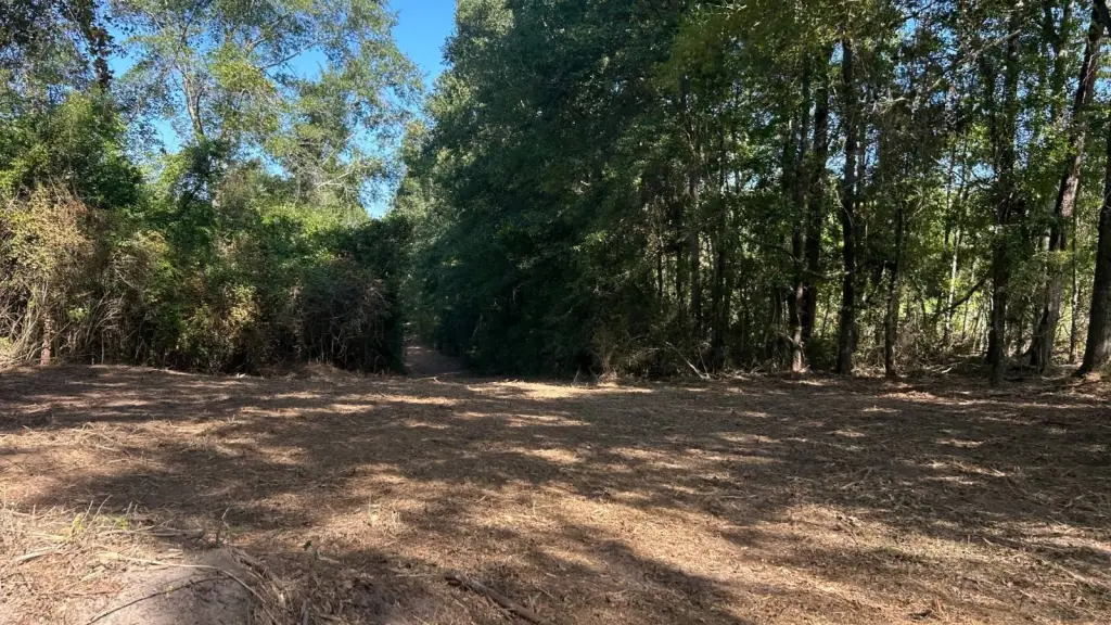 Picture 6