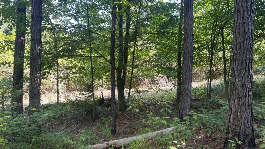 Picture 19