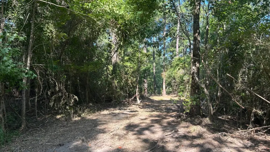 Picture 20