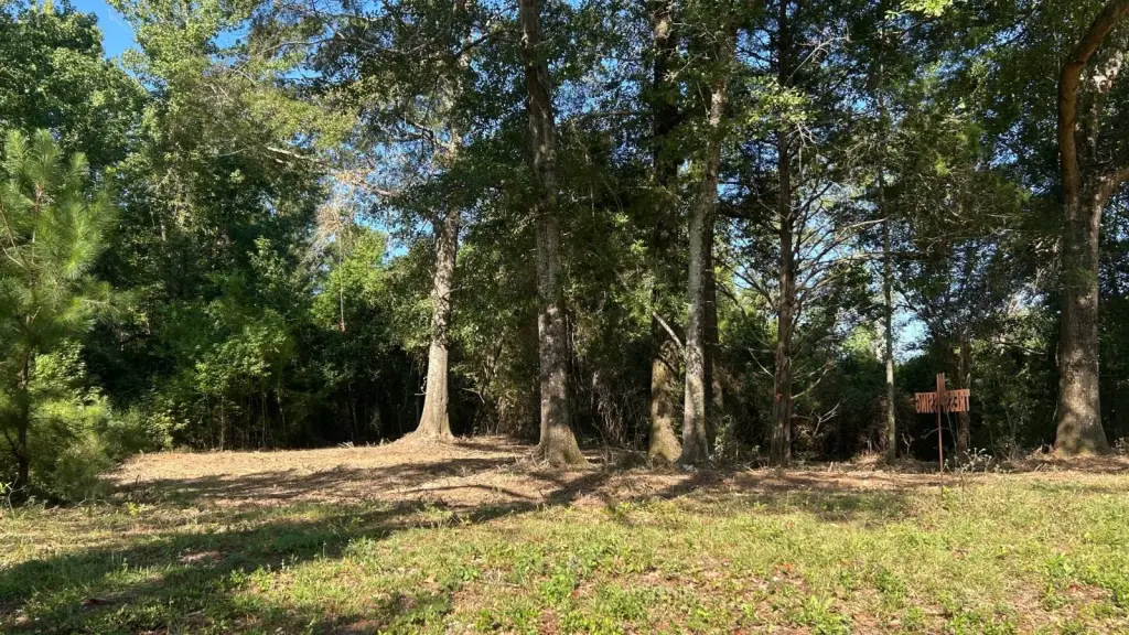 Picture 3