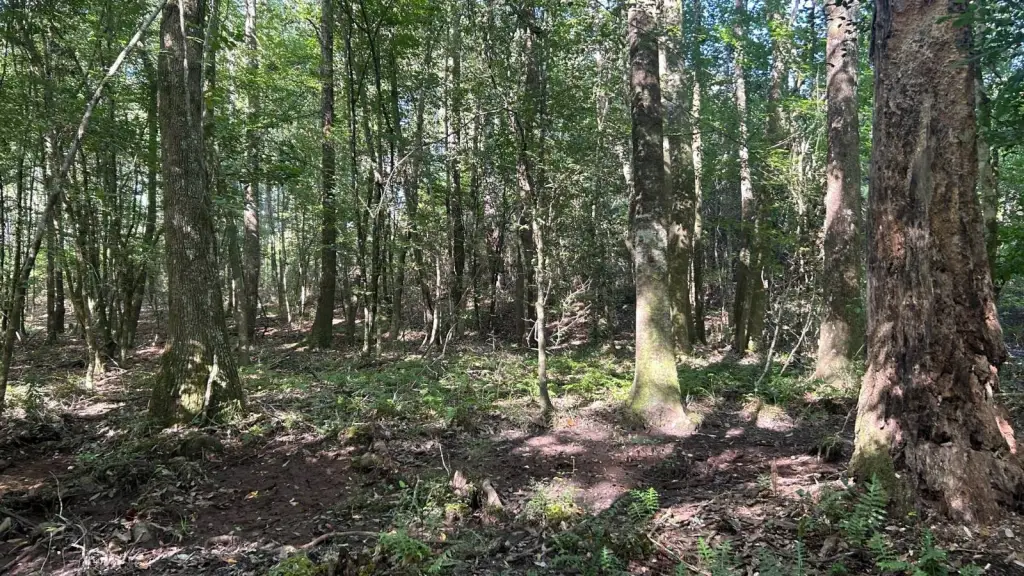 Picture 16