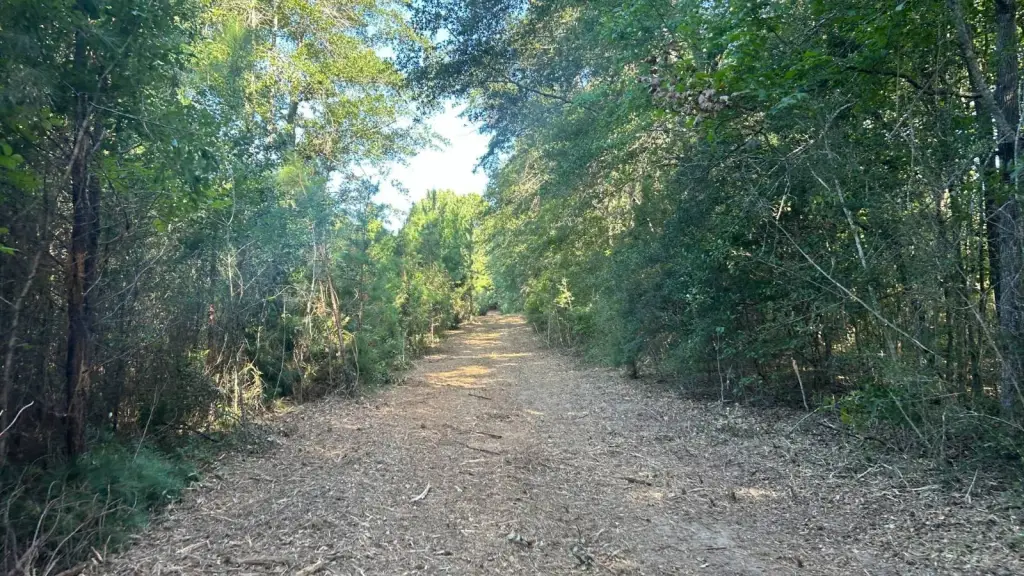 Picture 9