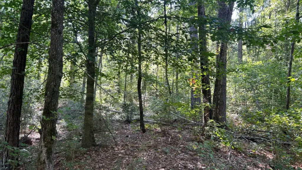 Picture 18