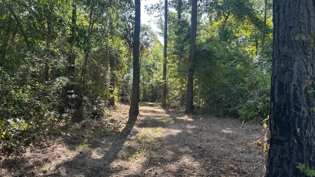 Picture 23