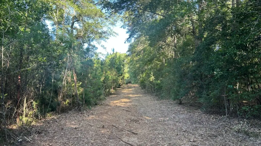 Picture 21