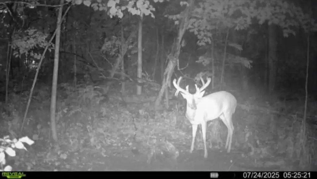 Picture 26
