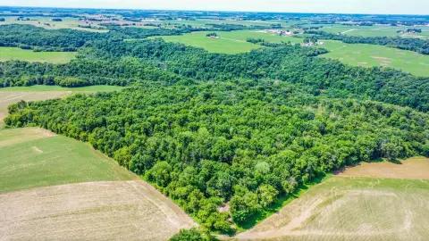 Timbered Hunting Land with Food Plot