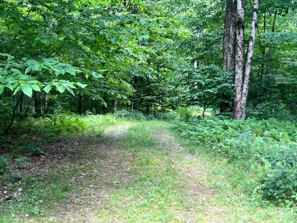 Picture 19