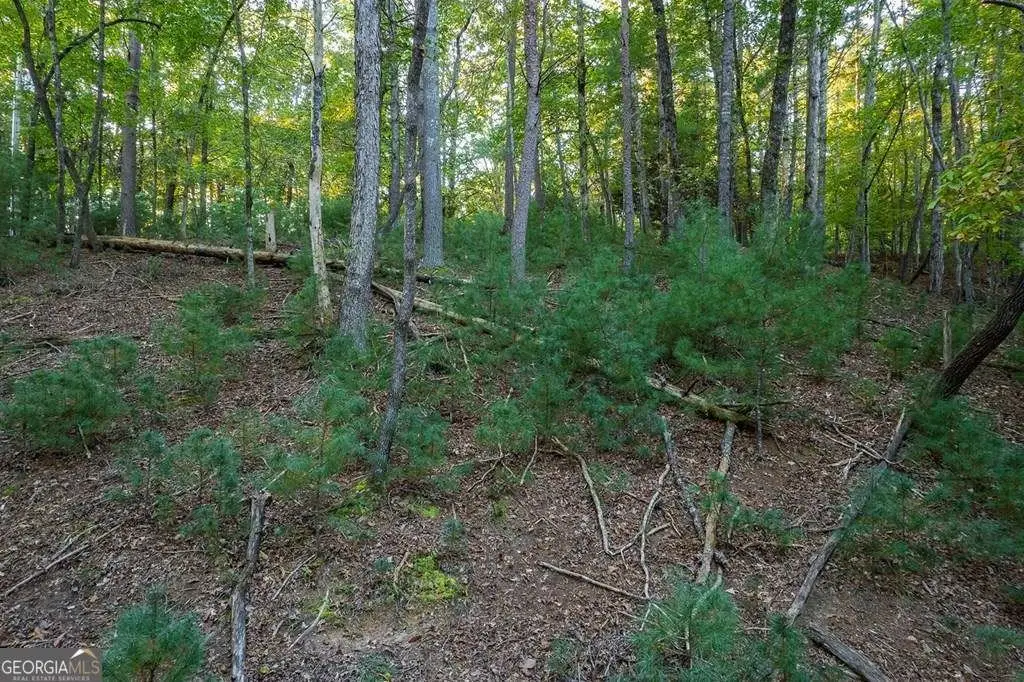 Picture 14