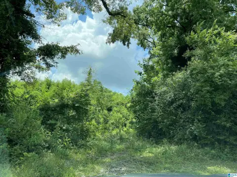 Montevallo Acreage with Development Potential