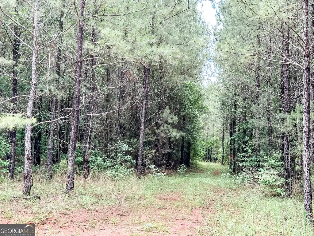 Picture 18
