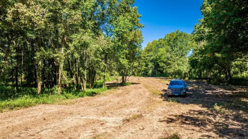 Picture 20